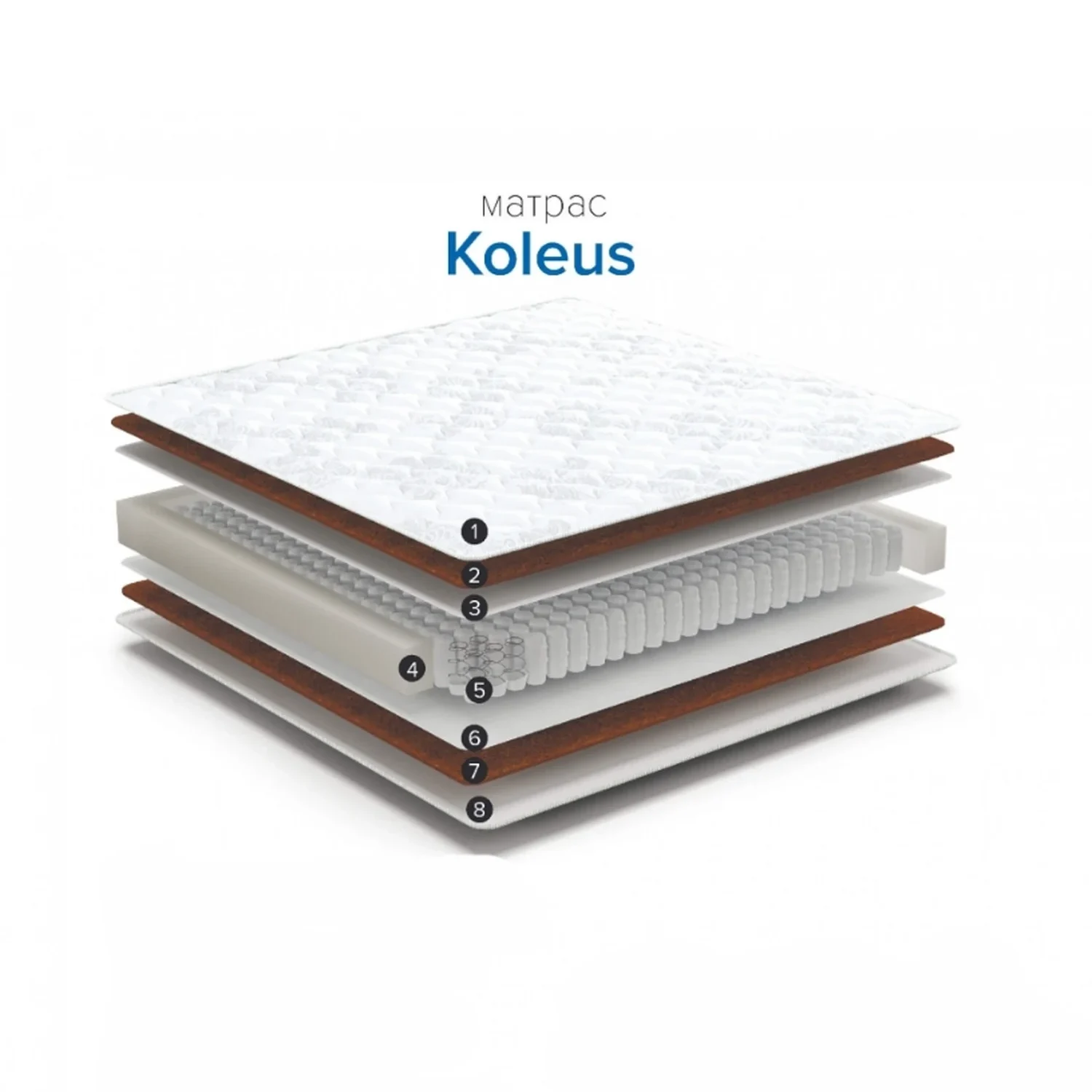 Матрас Колеус — высокая жёсткость, био-кокос 1 см, Orto-пена 2 см, независимые пружины TFK 512, высота 20 см Матрас Колеус в разрезе — независимый пружинный блок TFK, слои био-кокоса и Orto-пены, хлопковый стёганый чехол