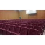 Большой зал с креслами Чара в бордовой обивке